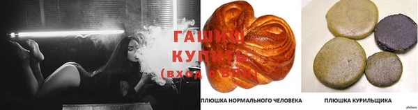гидра Аркадак