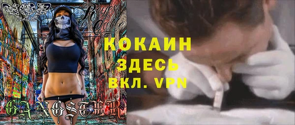 гидра Аркадак